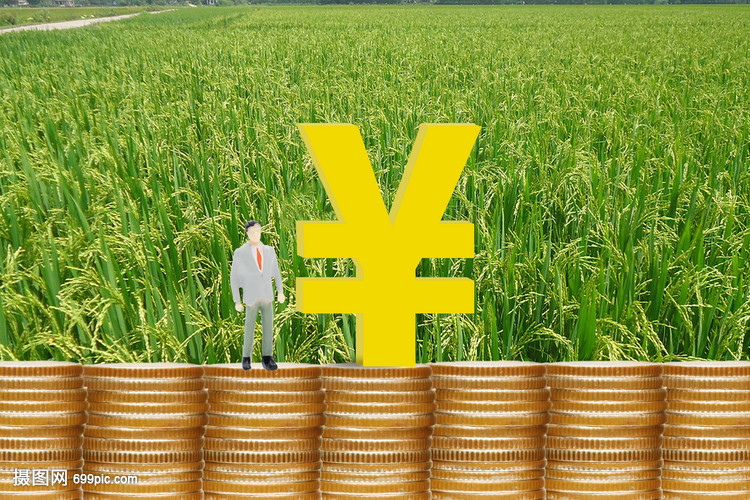 重庆私人房屋抵押 产品F