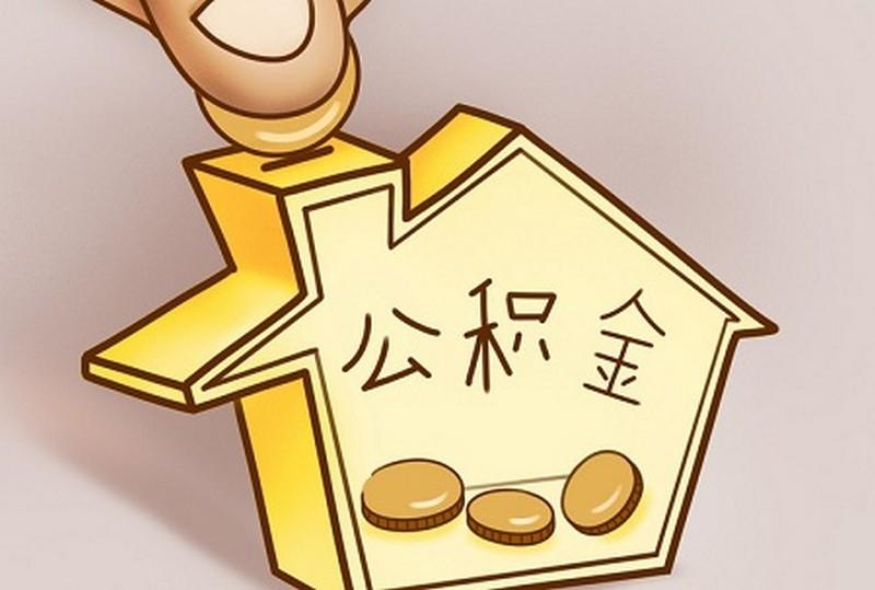 正规机构